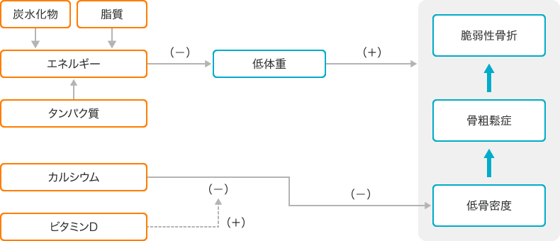 エネルギー・栄養素摂取と骨粗鬆症との関連